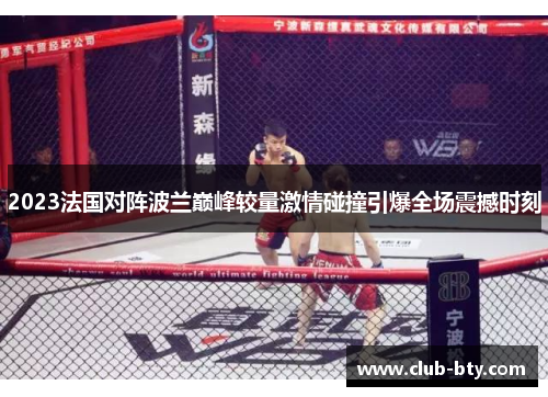 2023法国对阵波兰巅峰较量激情碰撞引爆全场震撼时刻