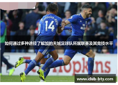 如何通过多种途径了解加的夫城足球队所属联赛及其竞技水平